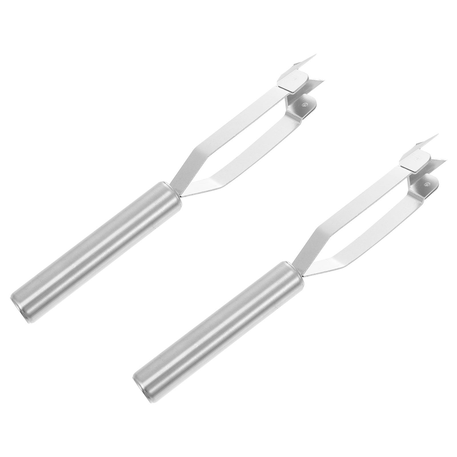 2Pcs Stainless Steel Pineapple - Kitchen Gadgets Store incelemesi ve fiyatı