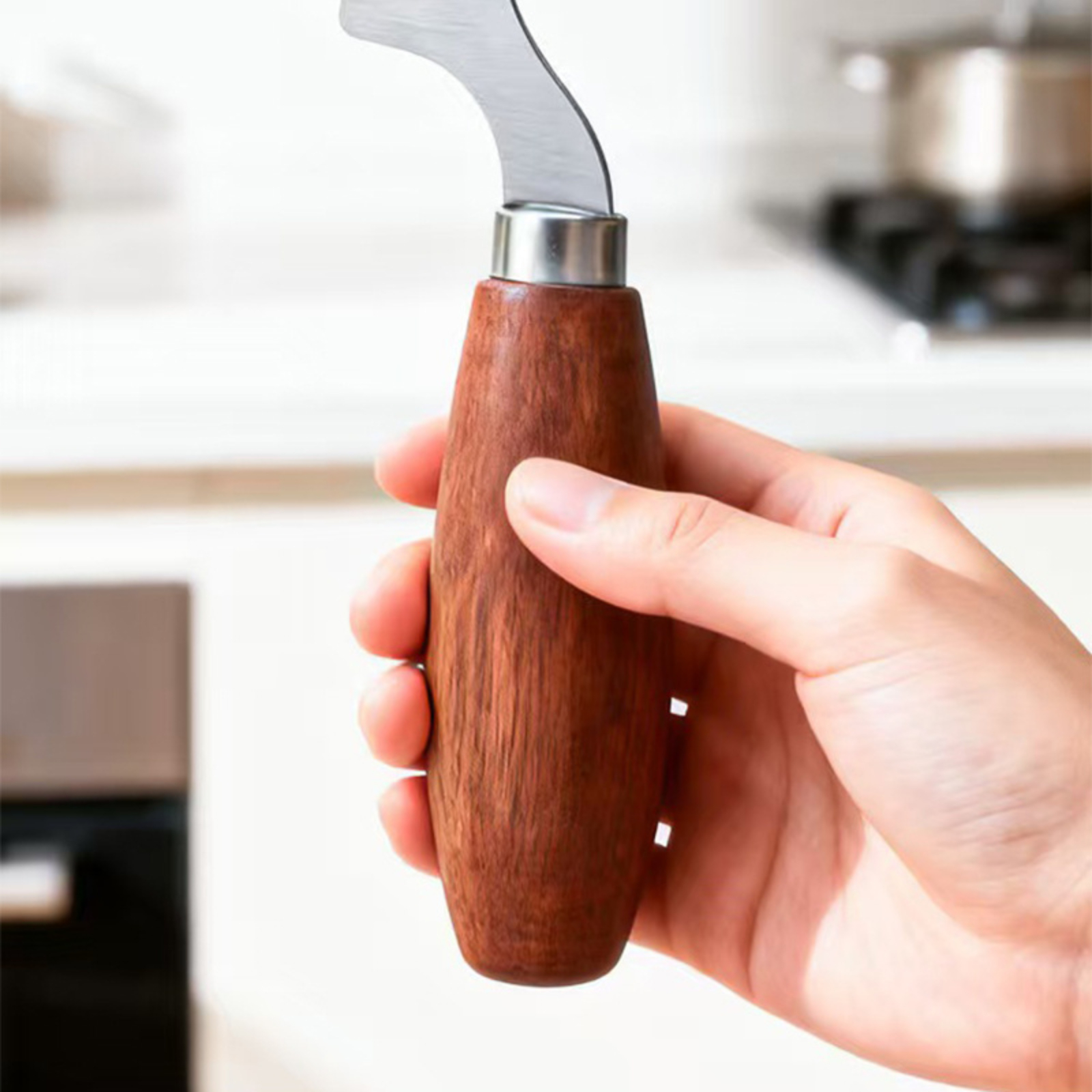 Stainless Steel Green Onion Sl - Kitchen Gadgets Green incelemesi ve fiyatı